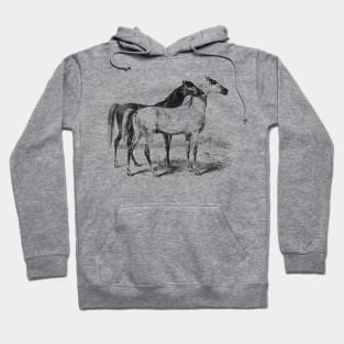 Horses Black & White Illustration Hoodie